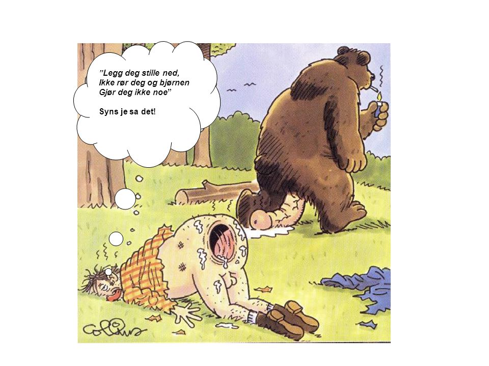 Legg deg stille ned, Ikke rør deg og bjørnen Gjør deg ikke noe Syns je sa det!