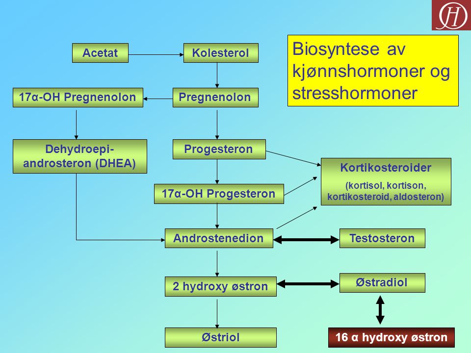 Biosyntese av kjønnshormoner og stresshormoner