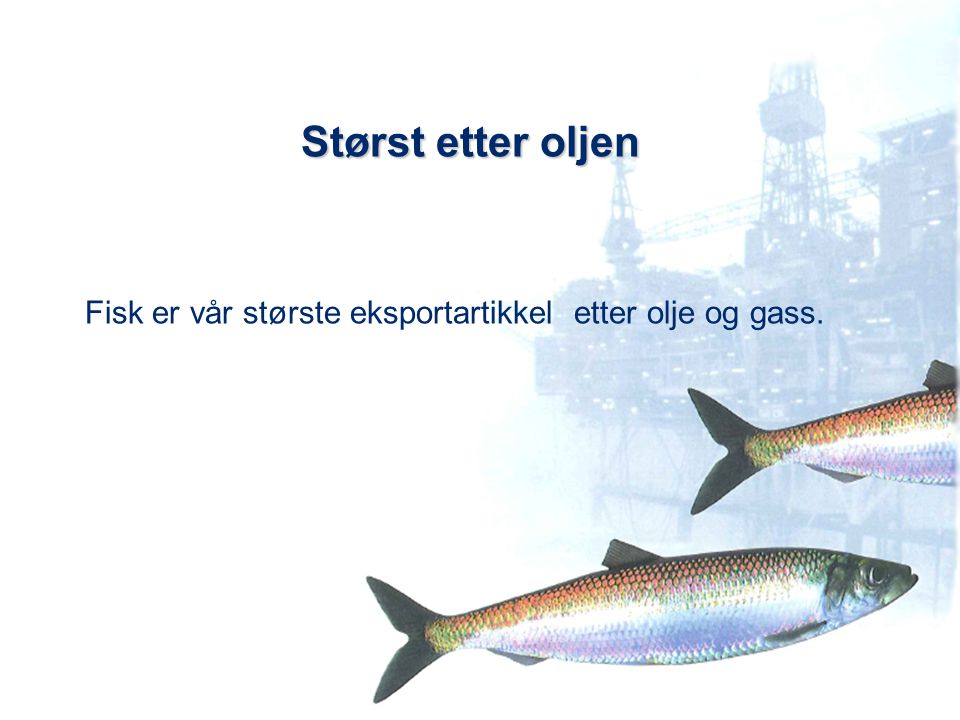 Størst etter oljen Fisk er vår største eksportartikkel etter olje og gass.