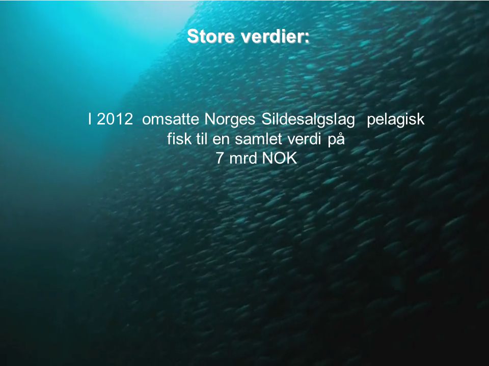 Store verdier: I 2012 omsatte Norges Sildesalgslag pelagisk fisk til en samlet verdi på 7 mrd NOK