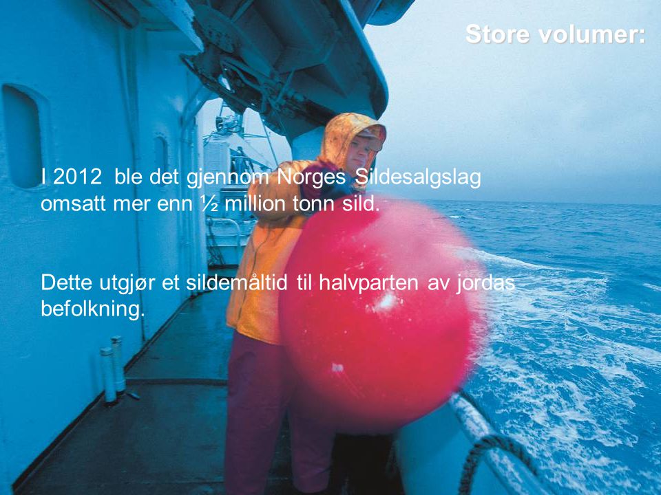 Store volumer: I 2012 ble det gjennom Norges Sildesalgslag omsatt mer enn ½ million tonn sild.