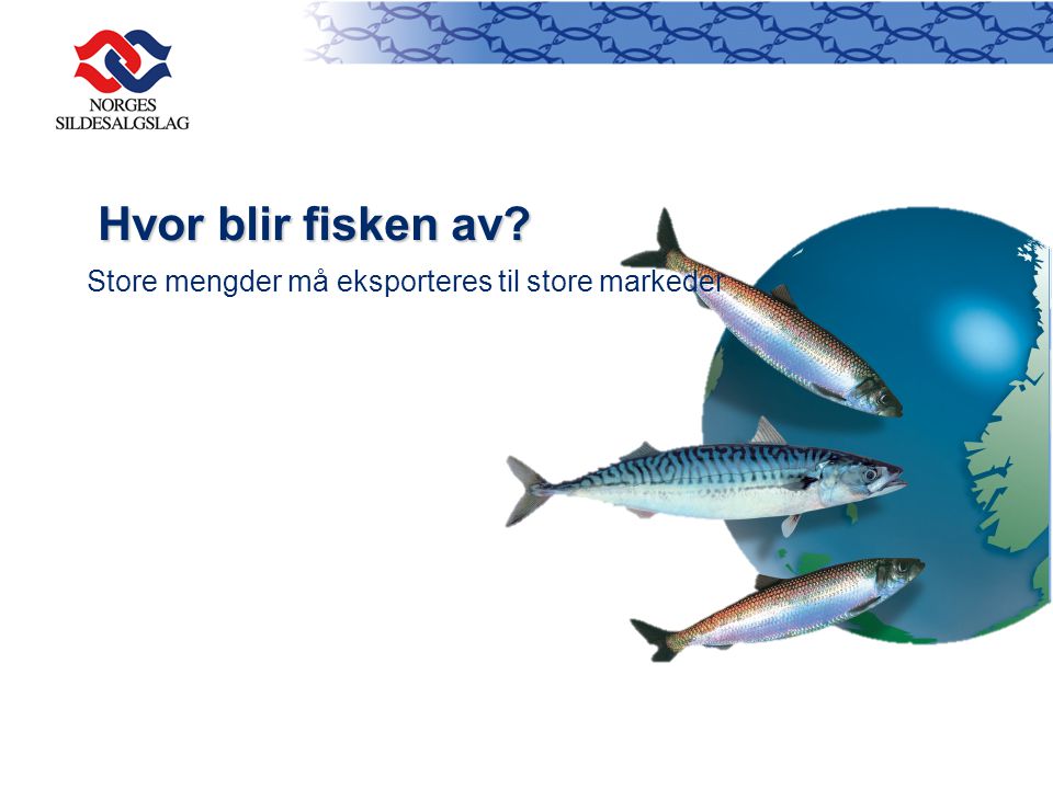 Hvor blir fisken av Store mengder må eksporteres til store markeder