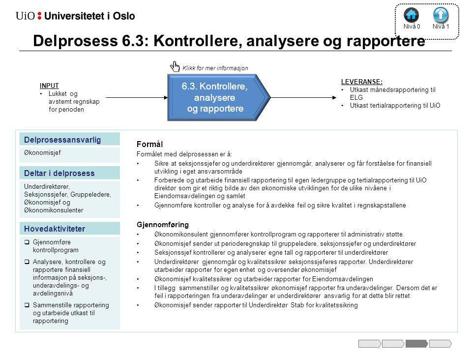 Delprosess 6.3: Kontrollere, analysere og rapportere