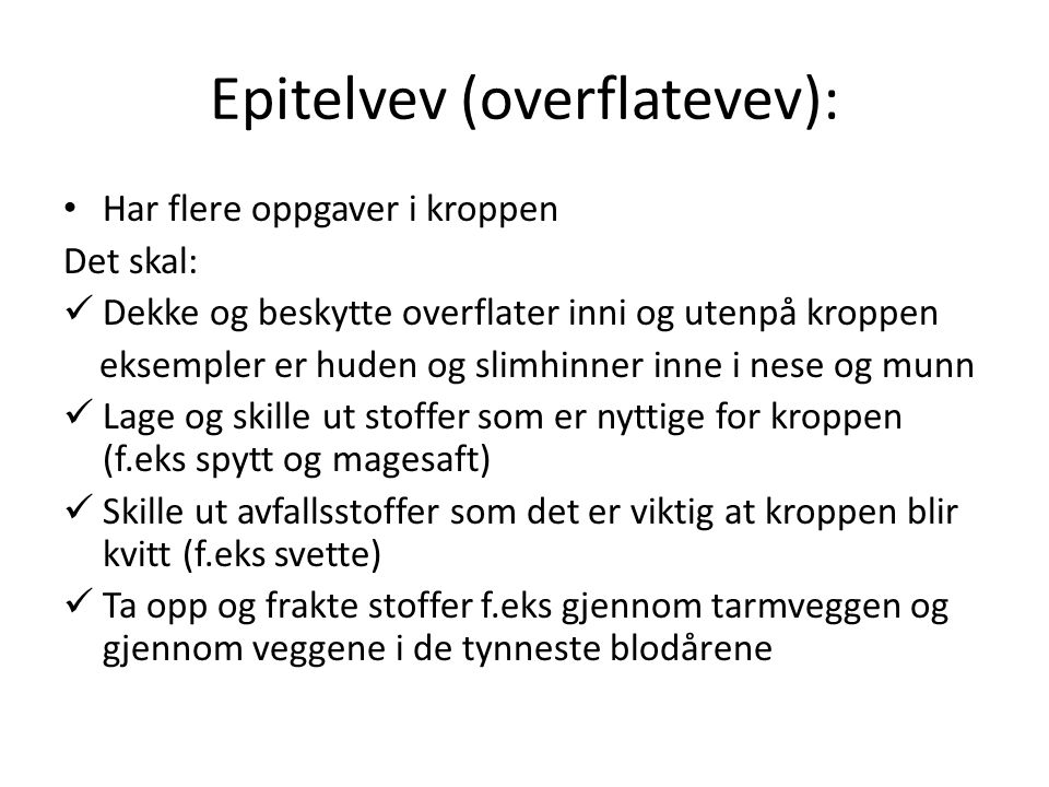 Epitelvev (overflatevev):