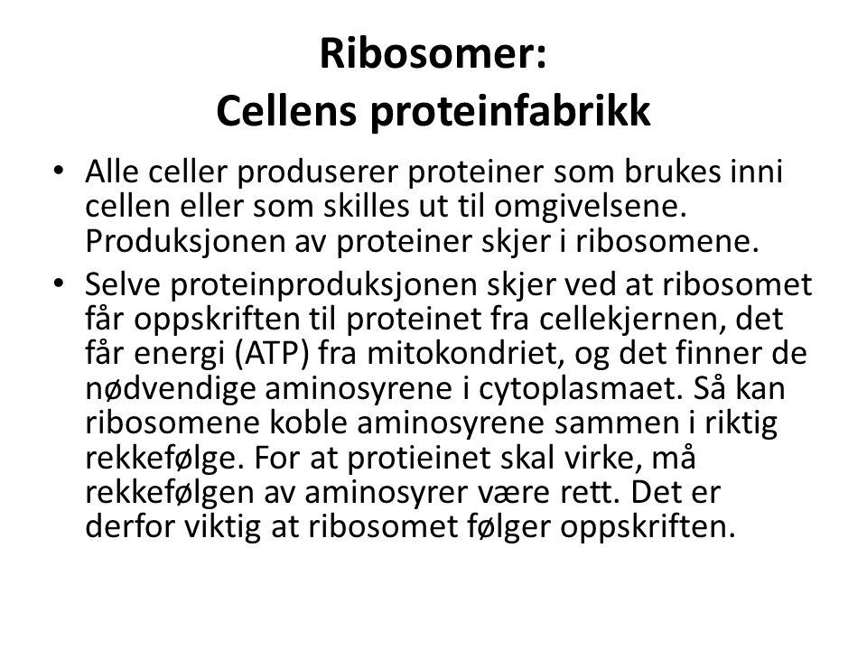 Ribosomer: Cellens proteinfabrikk