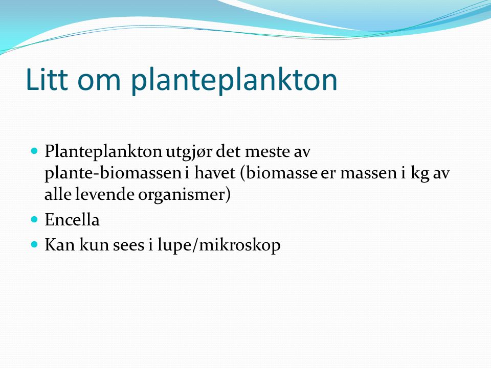 Litt om planteplankton