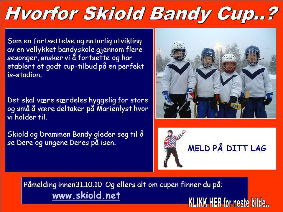 Hvorfor Skiold Bandy Cup..