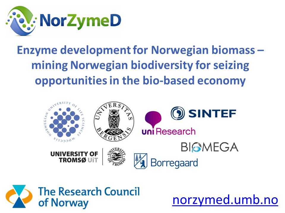 Enzyme development for Norwegian biomass – mining Norwegian biodiversity for seizing opportunities in the bio-based economy