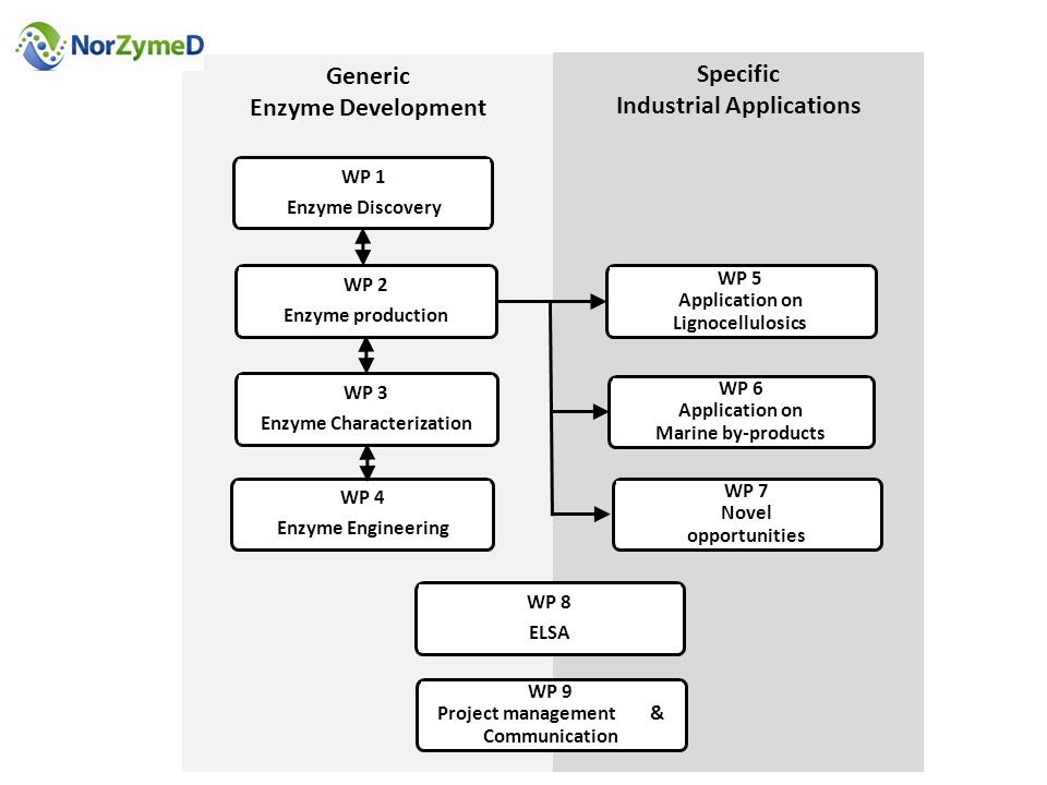 Specific Industrial Applications Generic Enzyme Development
