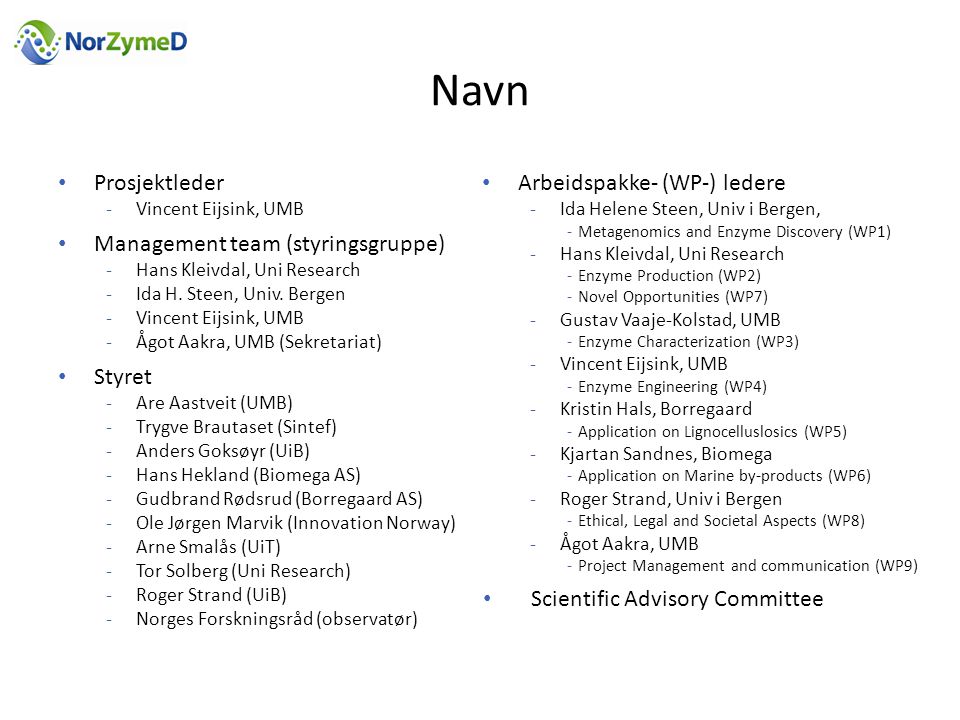 Navn Prosjektleder Management team (styringsgruppe) Styret