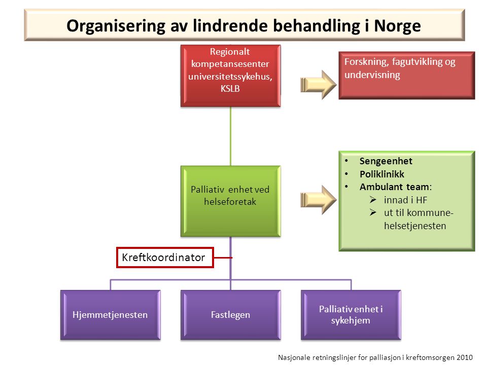 Organisering av lindrende behandling i Norge