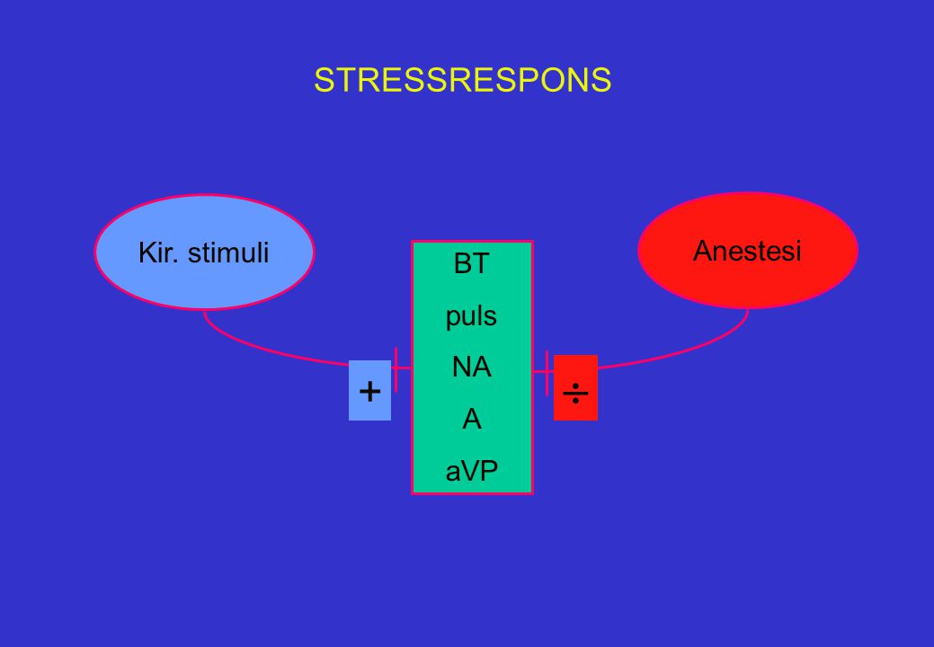 STRESSRESPONS Kir. stimuli + Anestesi  BT puls NA A aVP