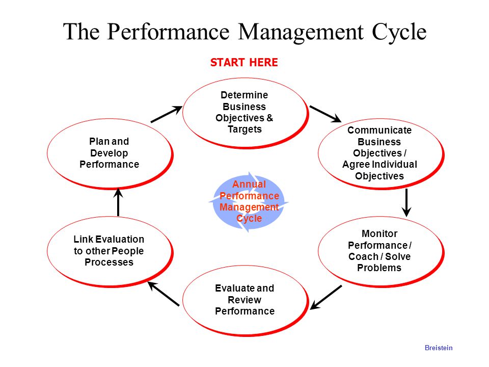 The Performance Management Cycle