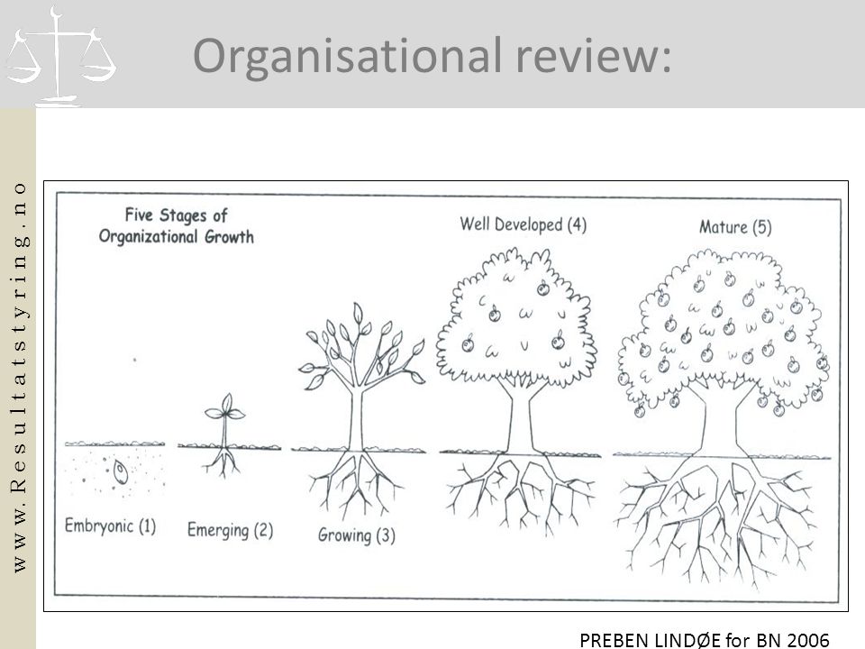Organisational review: