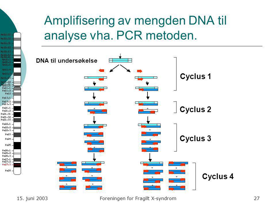 Amplifisering av mengden DNA til analyse vha. PCR metoden.
