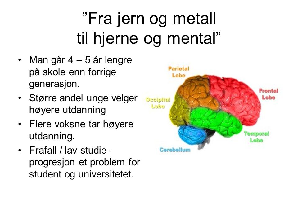 Fra jern og metall til hjerne og mental