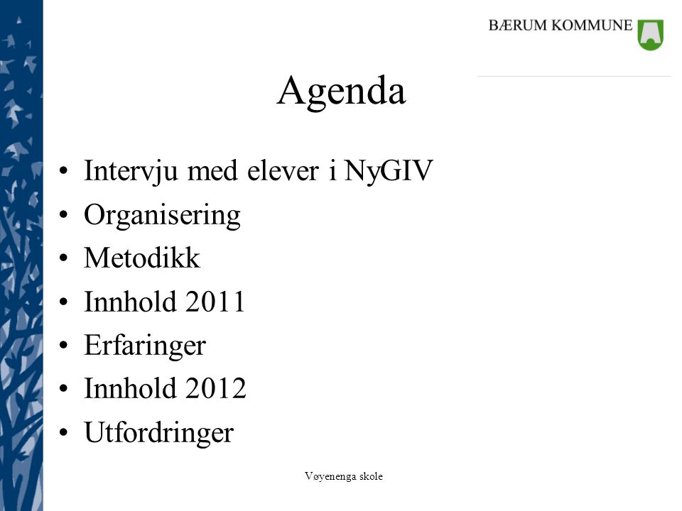 Agenda Intervju med elever i NyGIV Organisering Metodikk Innhold 2011