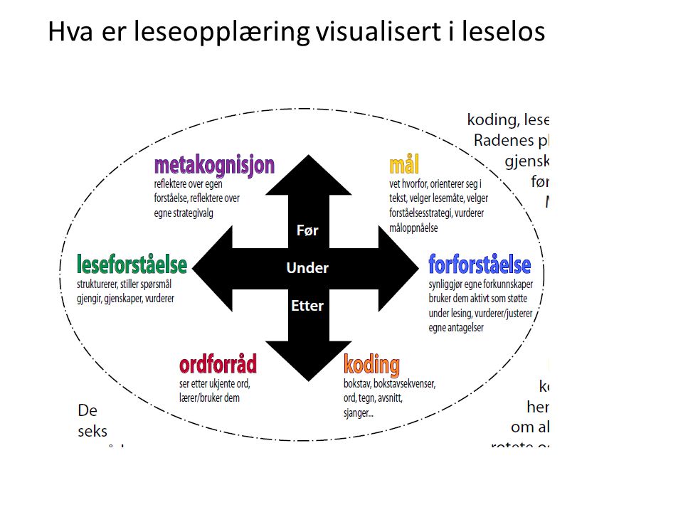 Hva er leseopplæring visualisert i leselos