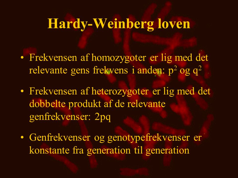 Hardy-Weinberg loven Frekvensen af homozygoter er lig med det relevante gens frekvens i anden: p2 og q2.
