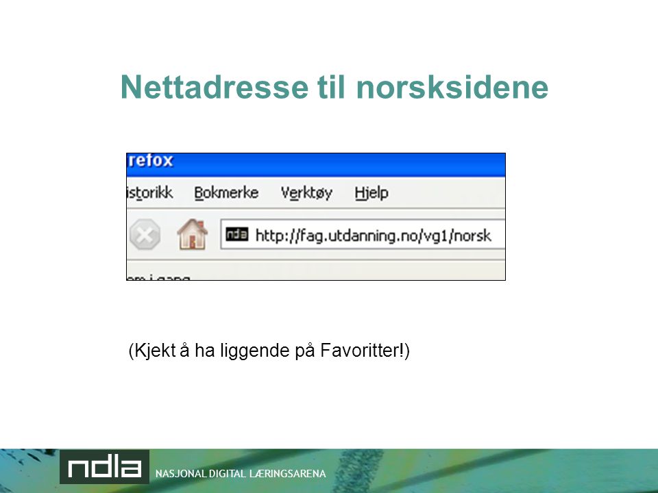 Nettadresse til norsksidene