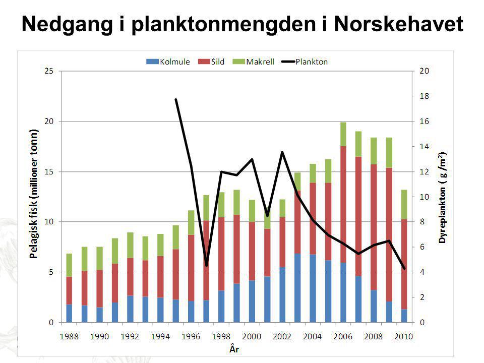 Nedgang i planktonmengden i Norskehavet