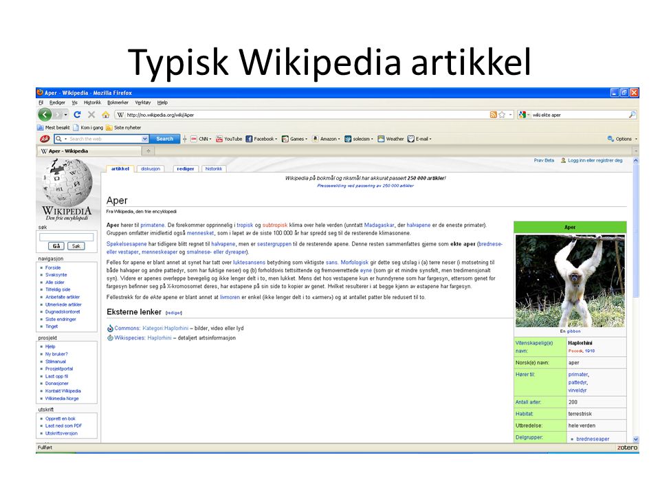 Typisk Wikipedia artikkel