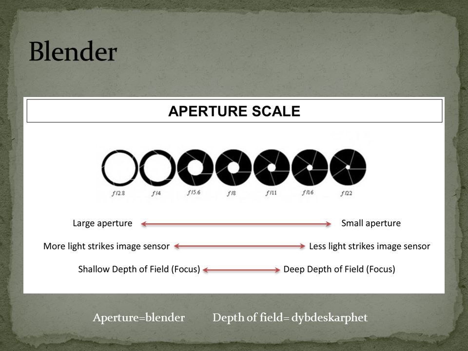 Aperture=blender Depth of field= dybdeskarphet