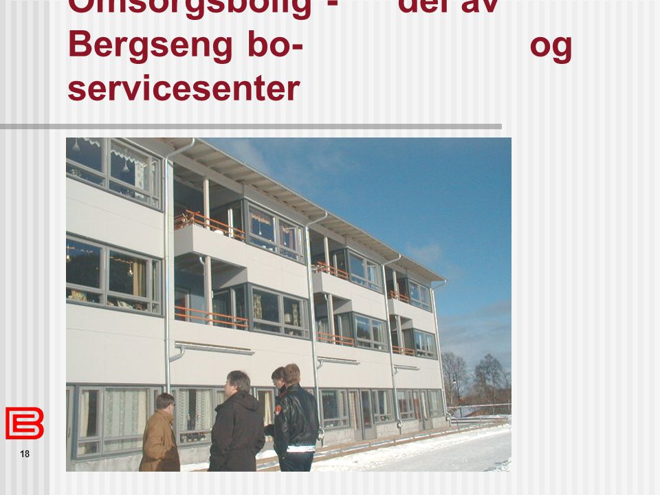 Omsorgsbolig - del av Bergseng bo- og servicesenter