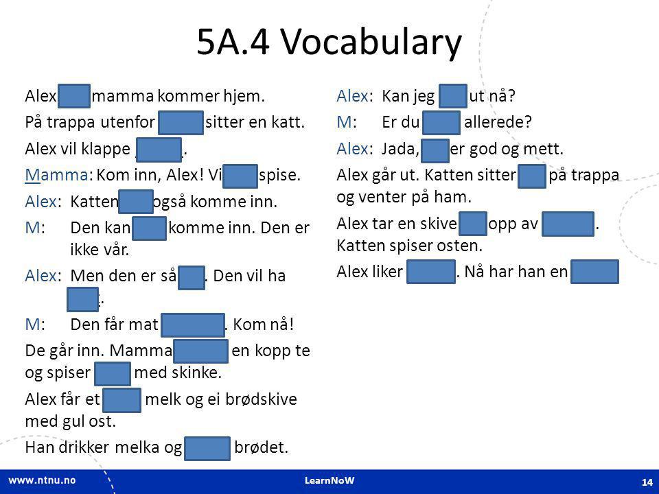 5A.4 Vocabulary
