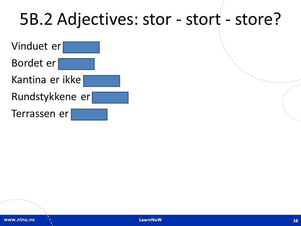 5B.2 Adjectives: stor - stort - store