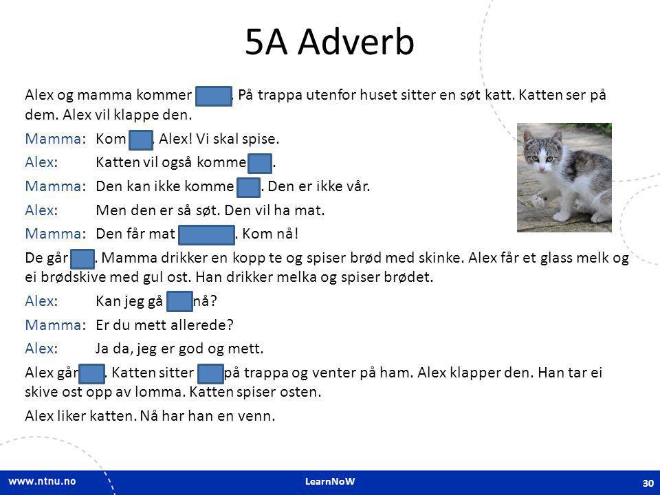 5A Adverb