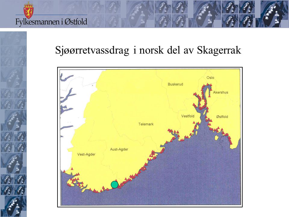 Sjøørretvassdrag i norsk del av Skagerrak