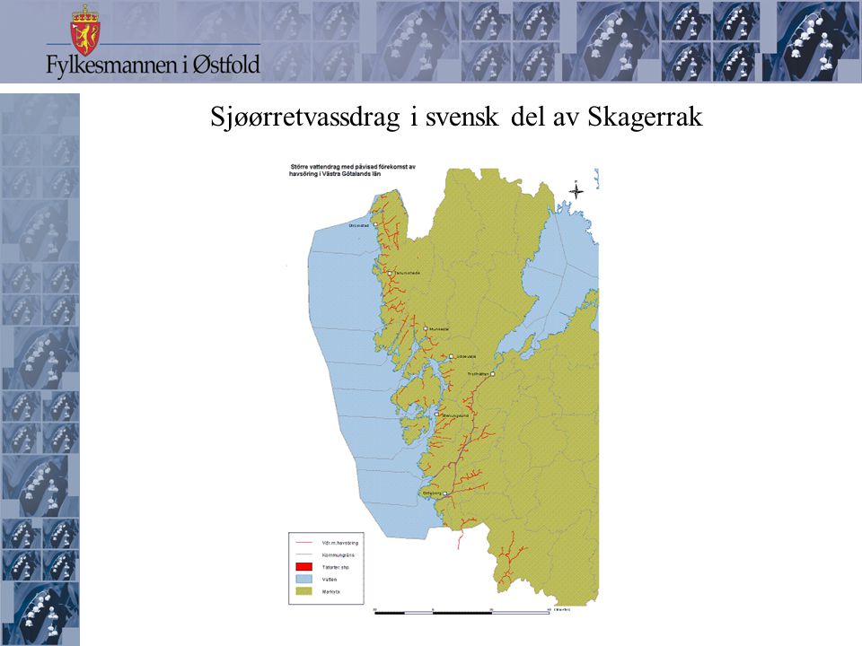 Sjøørretvassdrag i svensk del av Skagerrak