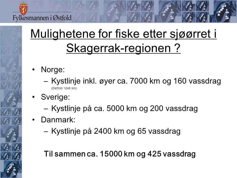 Mulighetene for fiske etter sjøørret i Skagerrak-regionen
