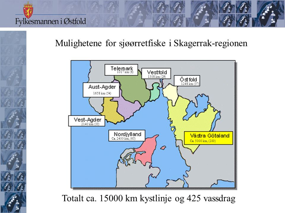 Mulighetene for sjøørretfiske i Skagerrak-regionen