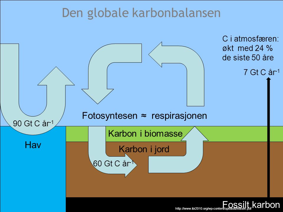 Den globale karbonbalansen
