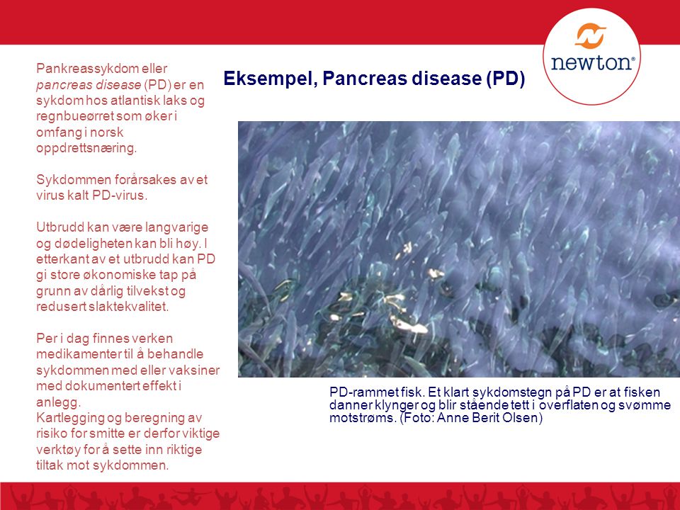 Eksempel, Pancreas disease (PD)