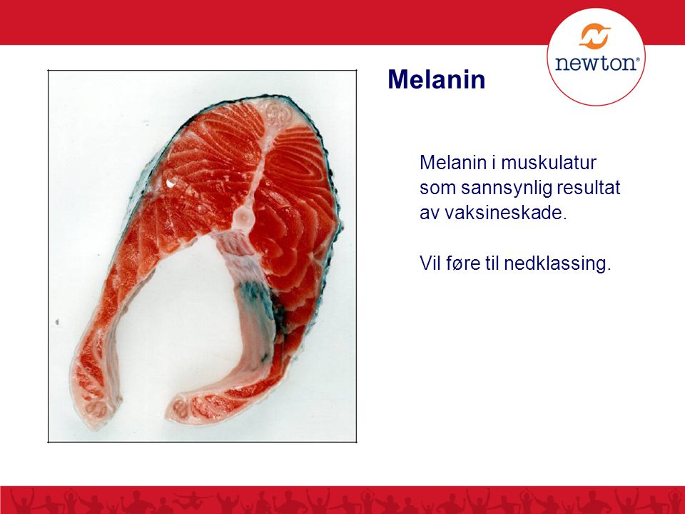 Melanin Melanin i muskulatur som sannsynlig resultat av vaksineskade.