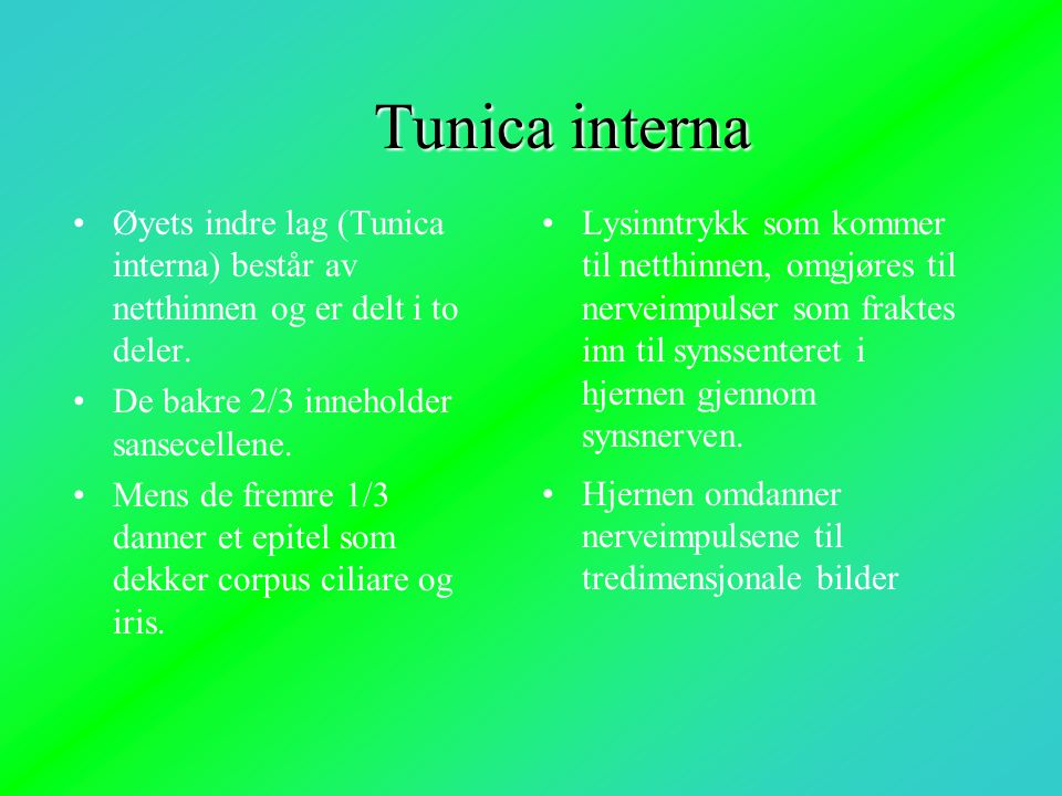 Tunica interna Øyets indre lag (Tunica interna) består av netthinnen og er delt i to deler. De bakre 2/3 inneholder sansecellene.