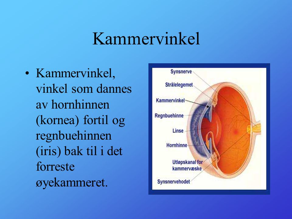 Kammervinkel Kammervinkel, vinkel som dannes av hornhinnen (kornea) fortil og regnbuehinnen (iris) bak til i det forreste øyekammeret.