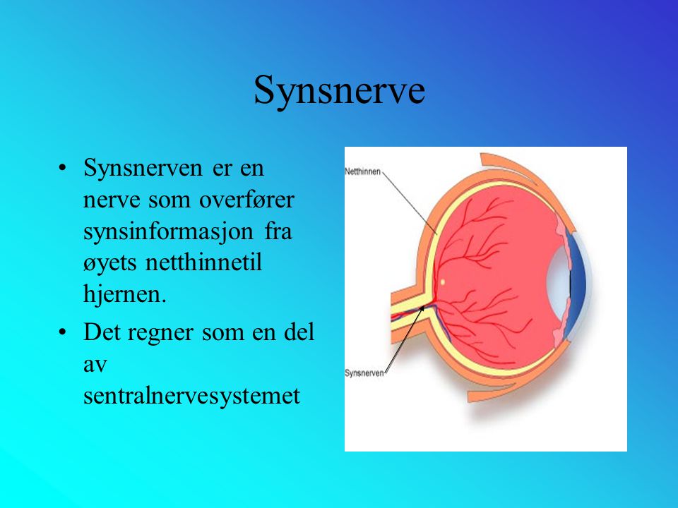 Synsnerve Synsnerven er en nerve som overfører synsinformasjon fra øyets netthinnetil hjernen.