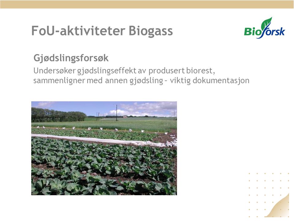 FoU-aktiviteter Biogass
