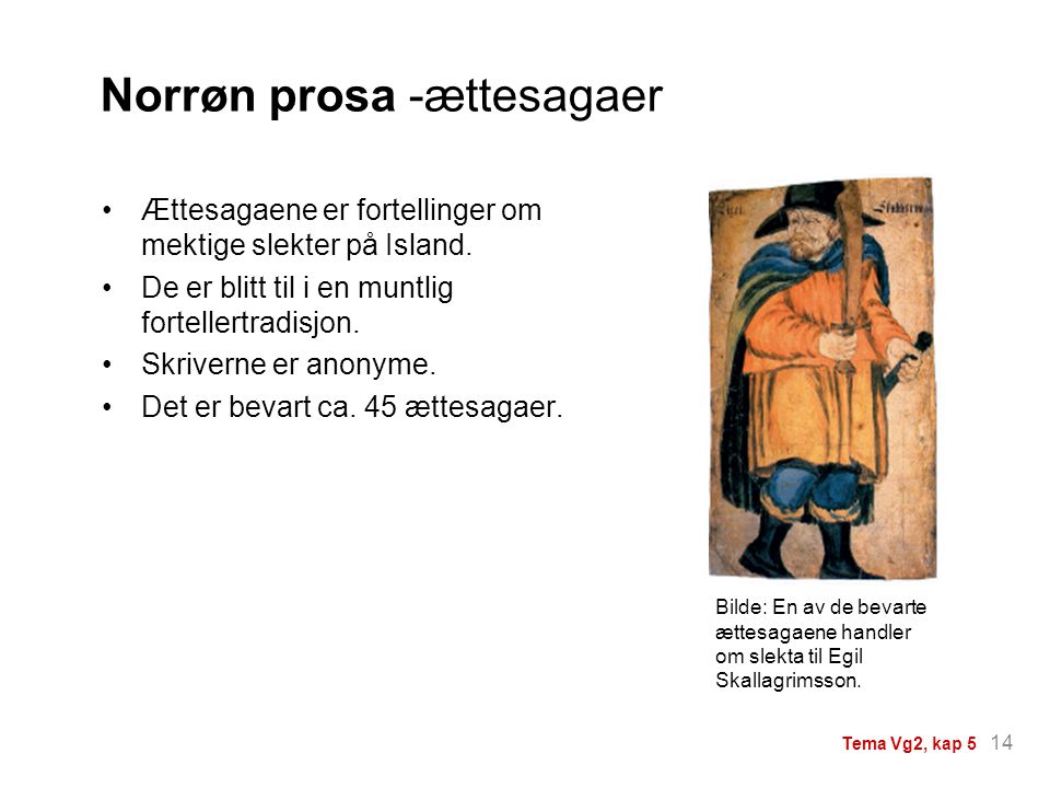 Norrøn prosa -ættesagaer