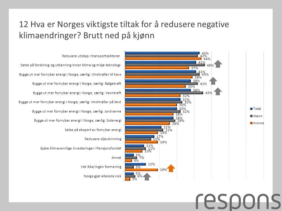 12 Hva er Norges viktigste tiltak for å redusere negative klimaendringer Brutt ned på kjønn