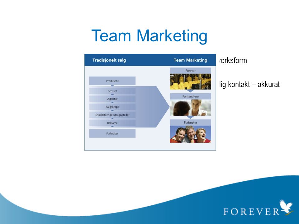 Team Marketing Forretningsmodell for direktehandel i nettverksform