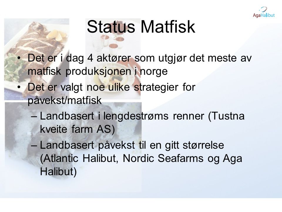 Status Matfisk Det er i dag 4 aktører som utgjør det meste av matfisk produksjonen i norge. Det er valgt noe ulike strategier for påvekst/matfisk.