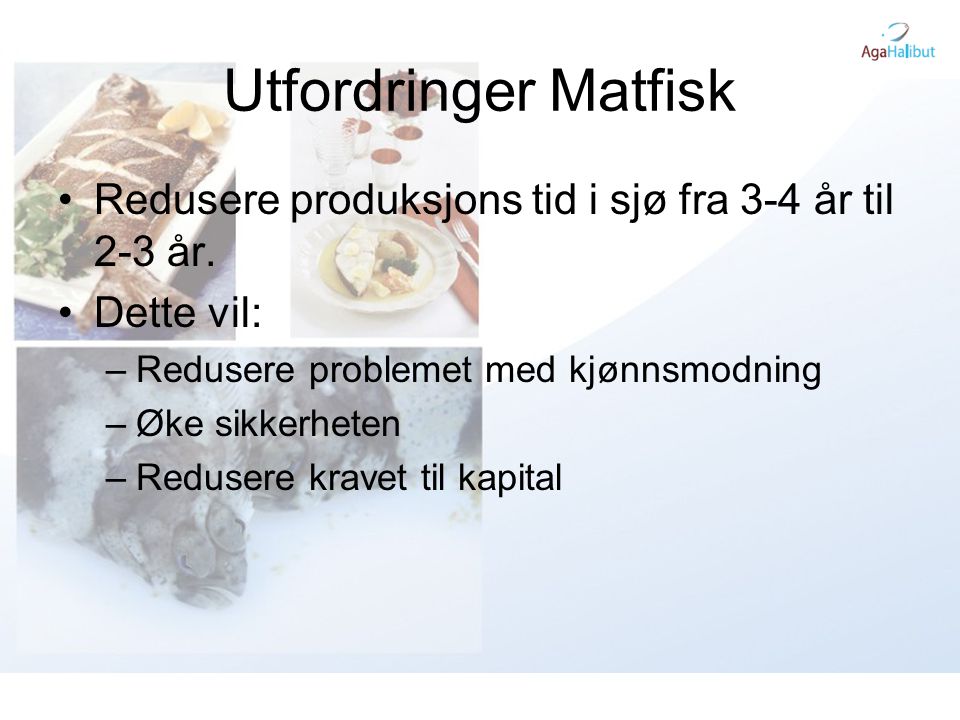 Utfordringer Matfisk Redusere produksjons tid i sjø fra 3-4 år til 2-3 år. Dette vil: Redusere problemet med kjønnsmodning.