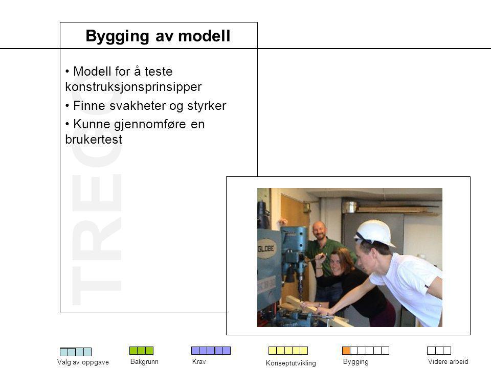 Bygging av modell Modell for å teste konstruksjonsprinsipper