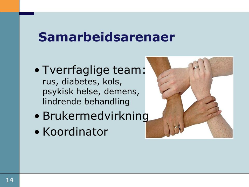 Samarbeidsarenaer Tverrfaglige team: rus, diabetes, kols, psykisk helse, demens, lindrende behandling.