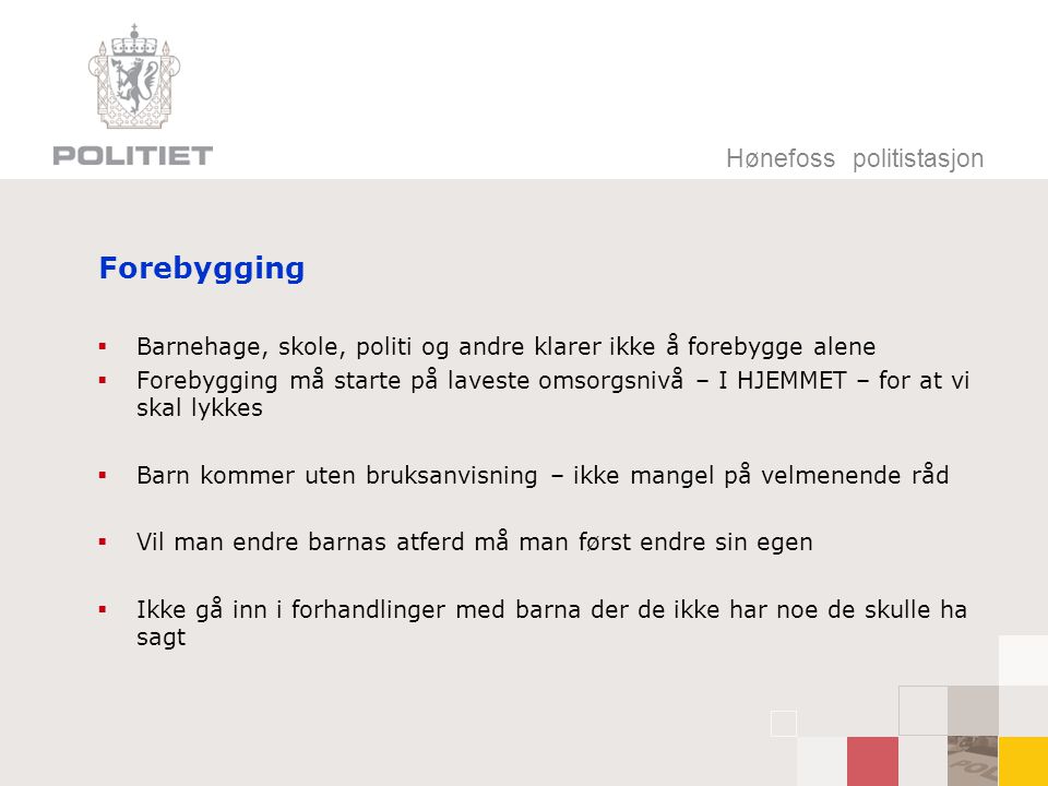 Forebygging Hønefoss politistasjon